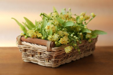 Photo of Beautiful linden blossoms and green leaves in wicker basket on wooden table, closeup