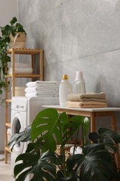 Photo of Soft towels, detergents, bench, houseplants and washing machine indoors