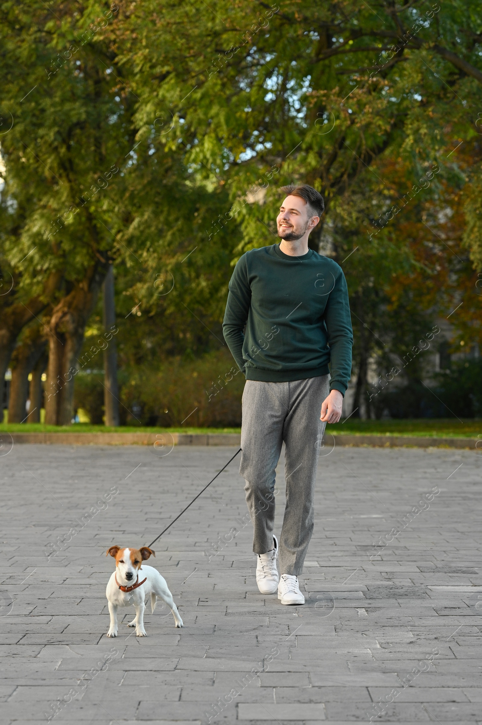 Photo of Man with adorable Jack Russell Terrier on city street. Dog walking