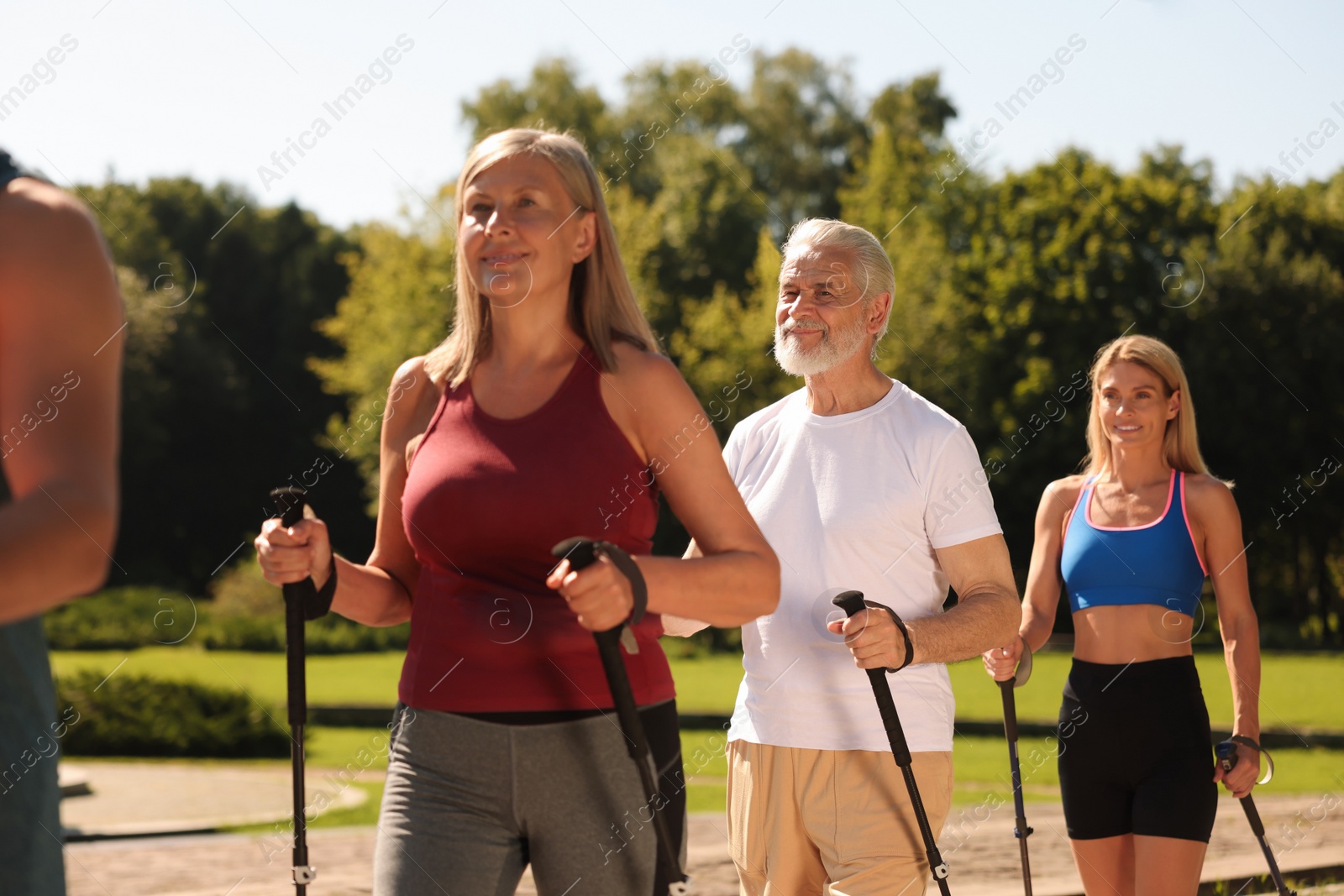 Photo of Group of people practicing Nordic walking with poles in park on sunny day