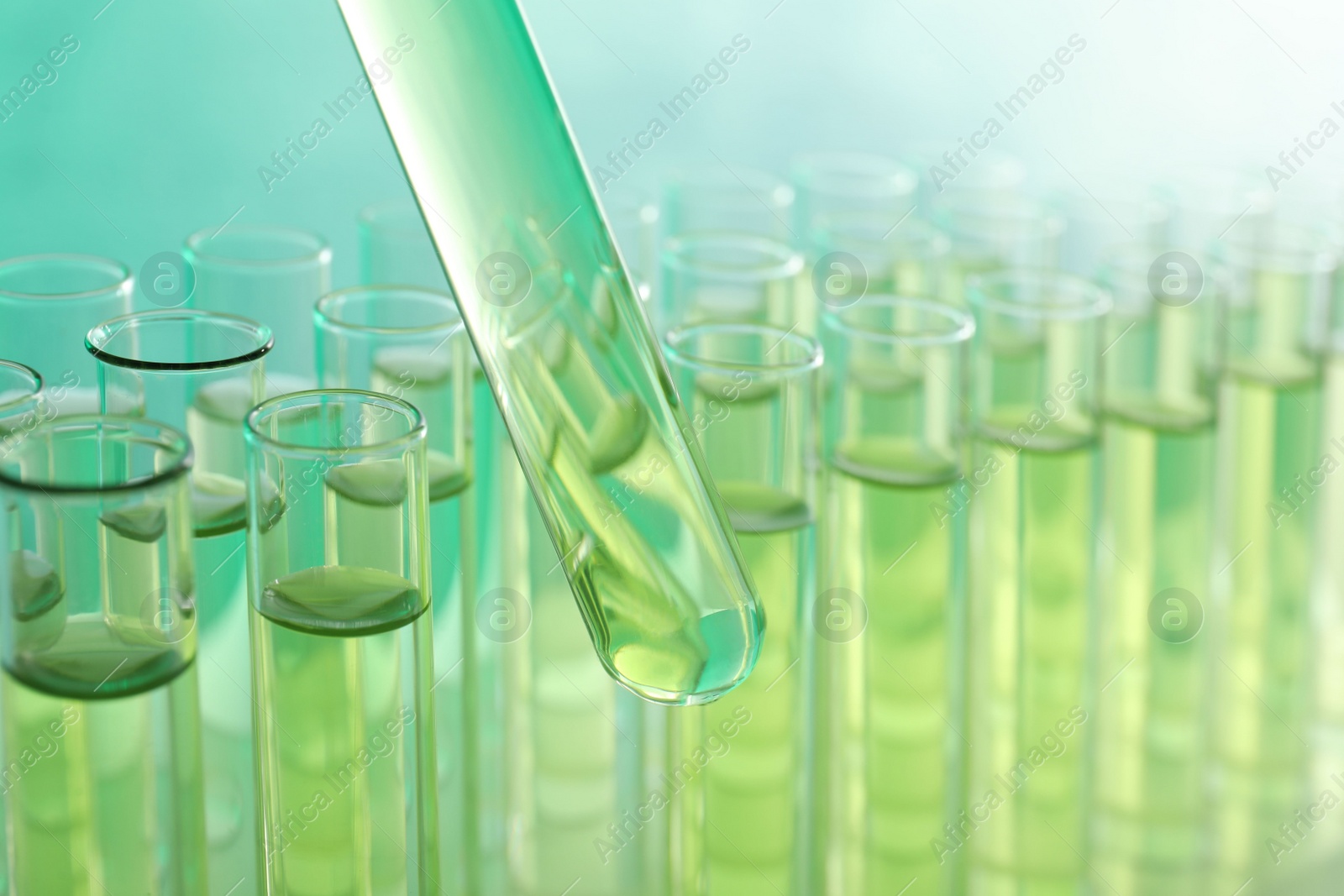 Photo of Taking test tube with liquid sample, closeup