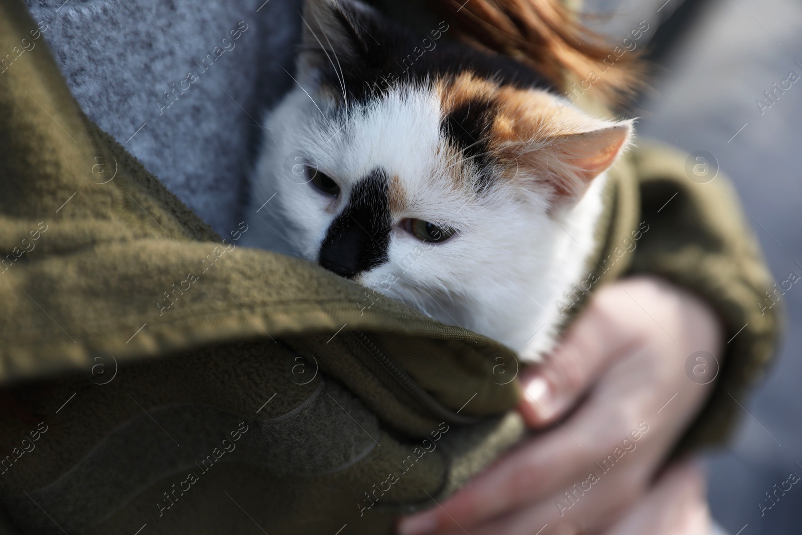 Photo of Soldier in uniform warming little stray cat, closeup