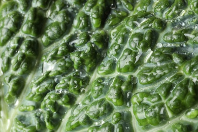 Photo of Green leaf of fresh savoy cabbage as background, closeup