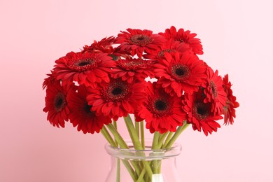 Photo of Bouquet of beautiful red gerbera flowers in glass vase on pink background