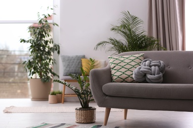 Photo of Stylish modern room interior with exotic houseplants