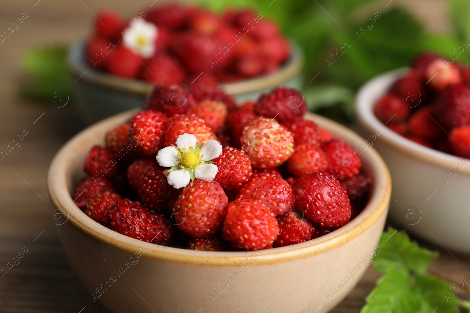 Photo of Fresh wild strawberries and flower in bowl on table, closeup