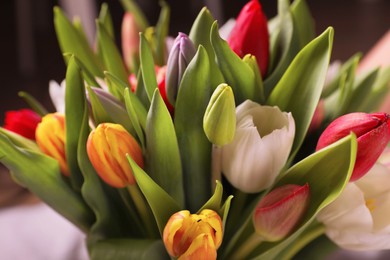 Beautiful bouquet of colorful tulip flowers, closeup