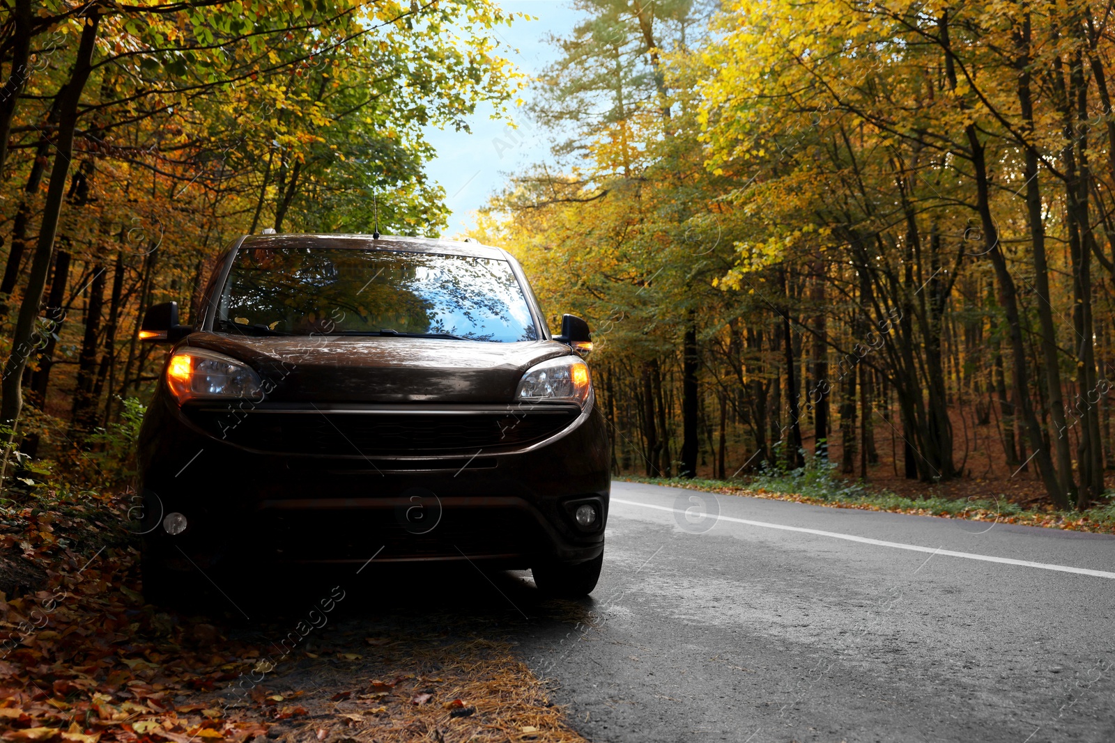 Photo of Modern car on asphalt road near autumn forest