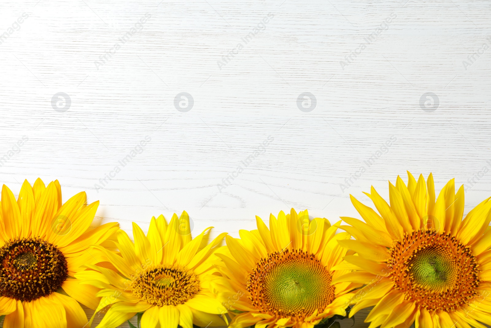 Photo of Yellow sunflowers on wooden background, top view