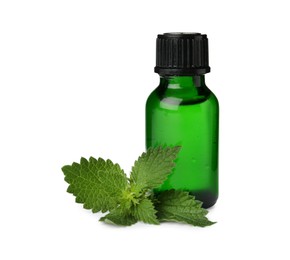 Photo of Glass bottle of nettle oil with leaves isolated on white