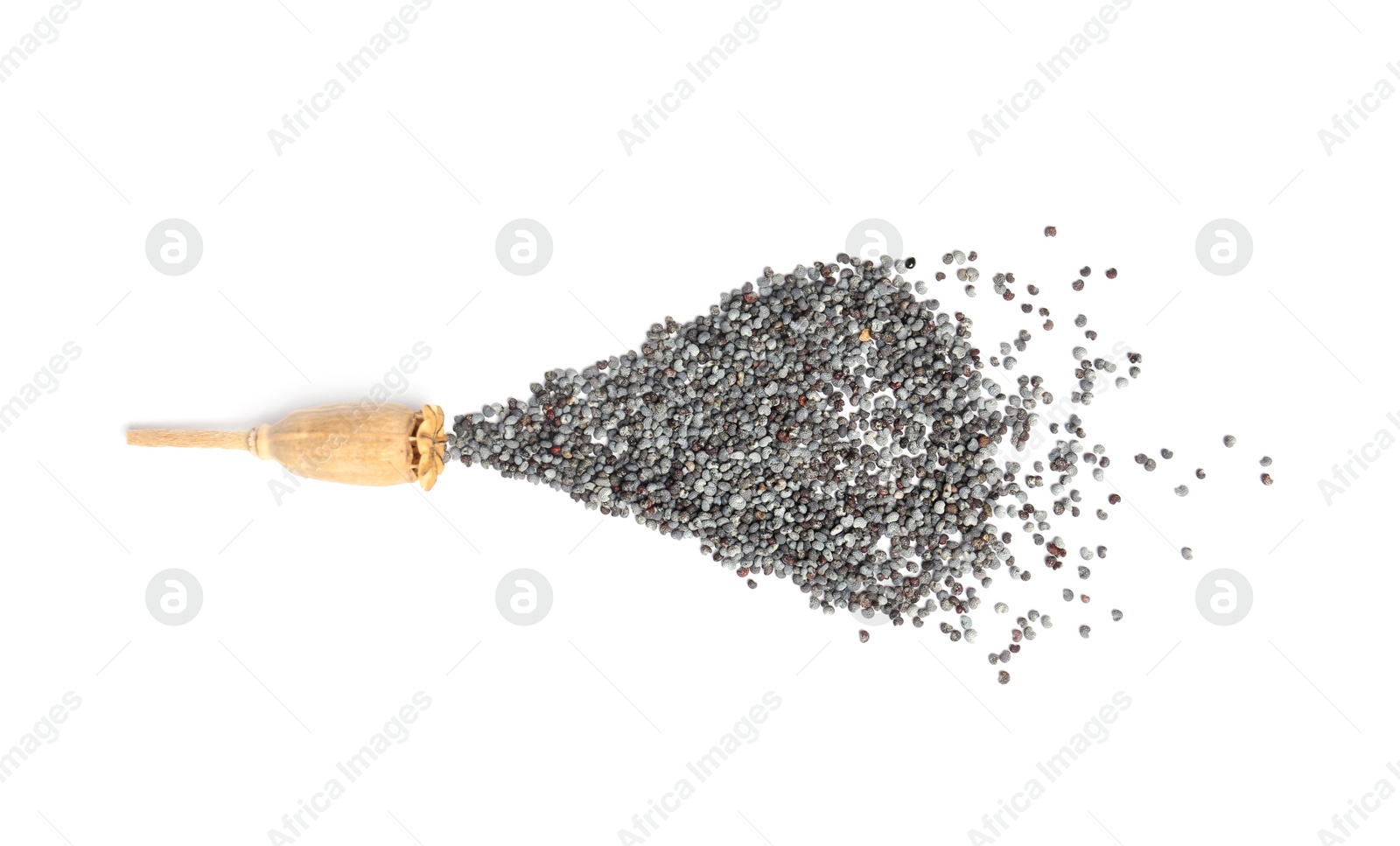 Photo of Dry poppy head and seeds on white background, top view