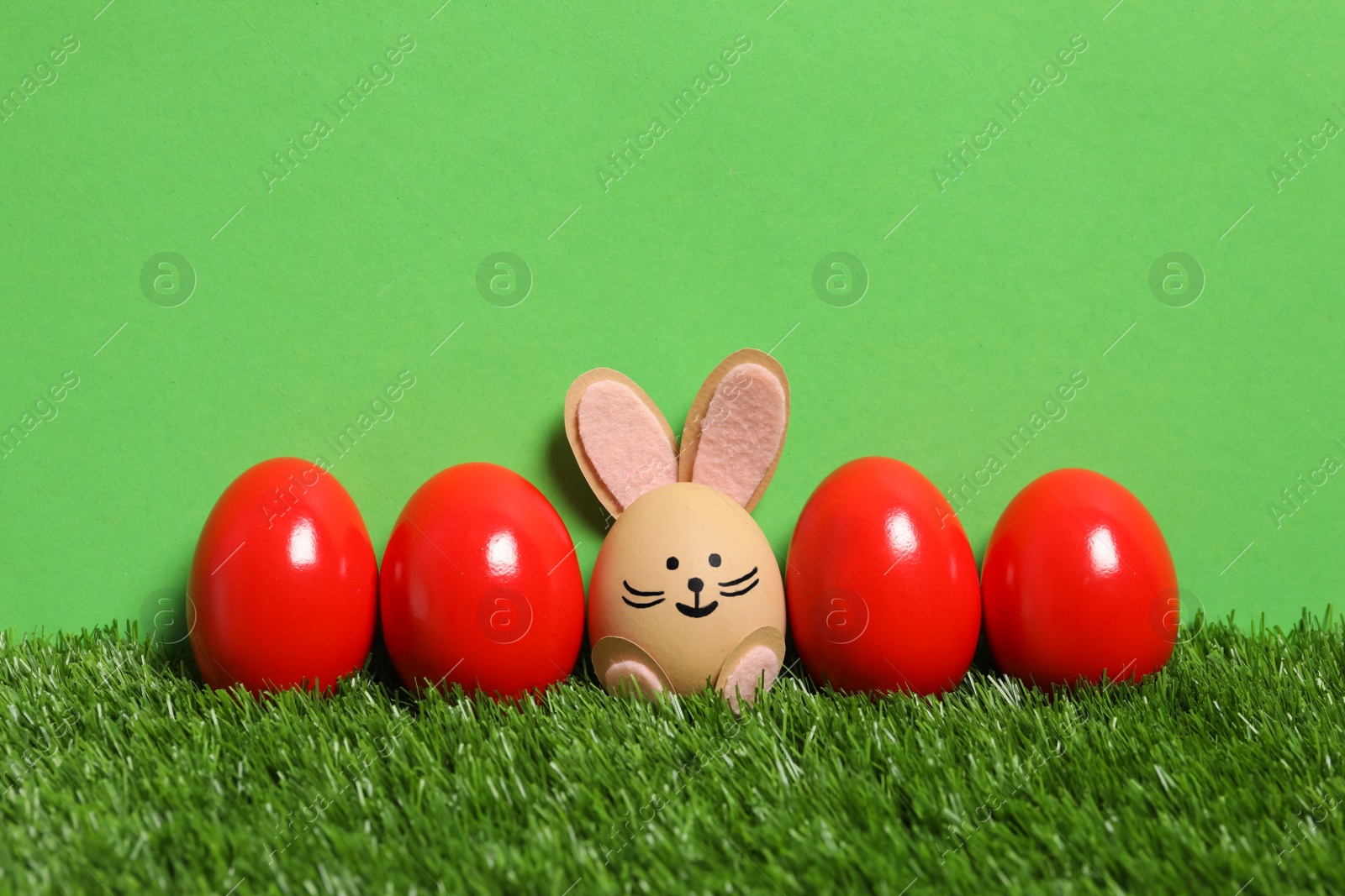 Photo of Bright eggs and brown one as Easter bunny on green grass against color background