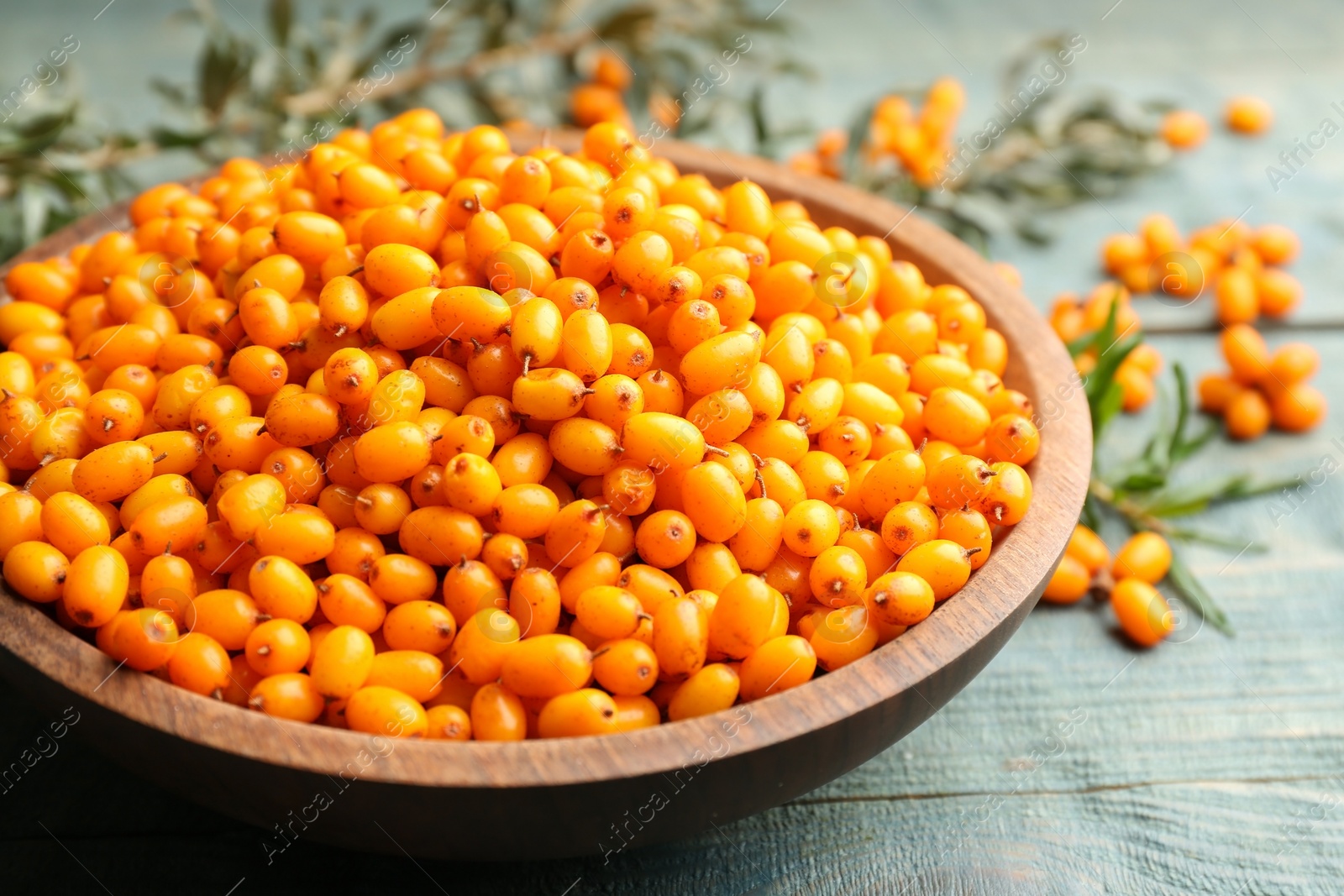 Photo of Ripe sea buckthorn berries on blue wooden table, closeup