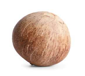 Photo of Ripe whole brown coconut on white background