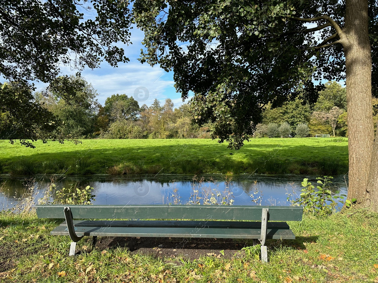 Photo of Wooden bench near pond in picturesque park