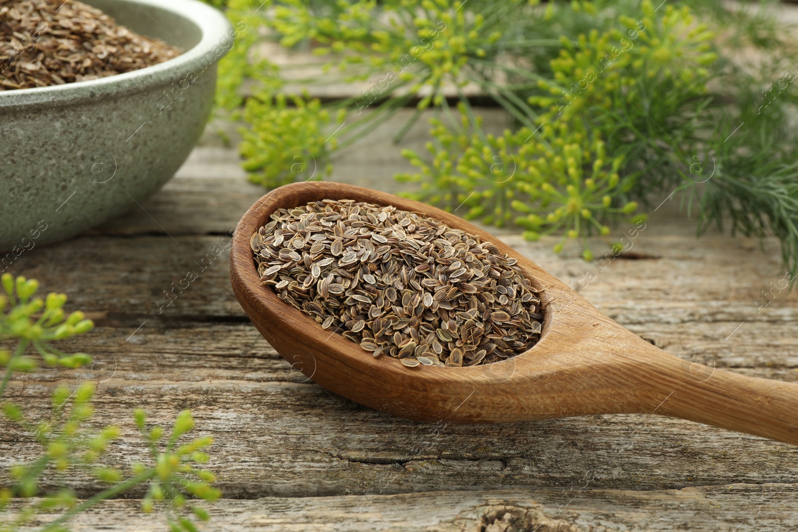 Photo of Spoon with dry seeds and fresh dill on wooden table, closeup