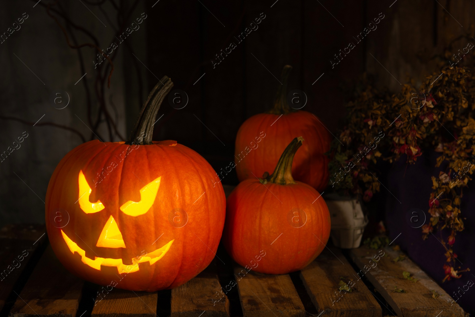 Photo of Scary jack o'lantern pumpkin on wooden bench in darkness. Halloween decor