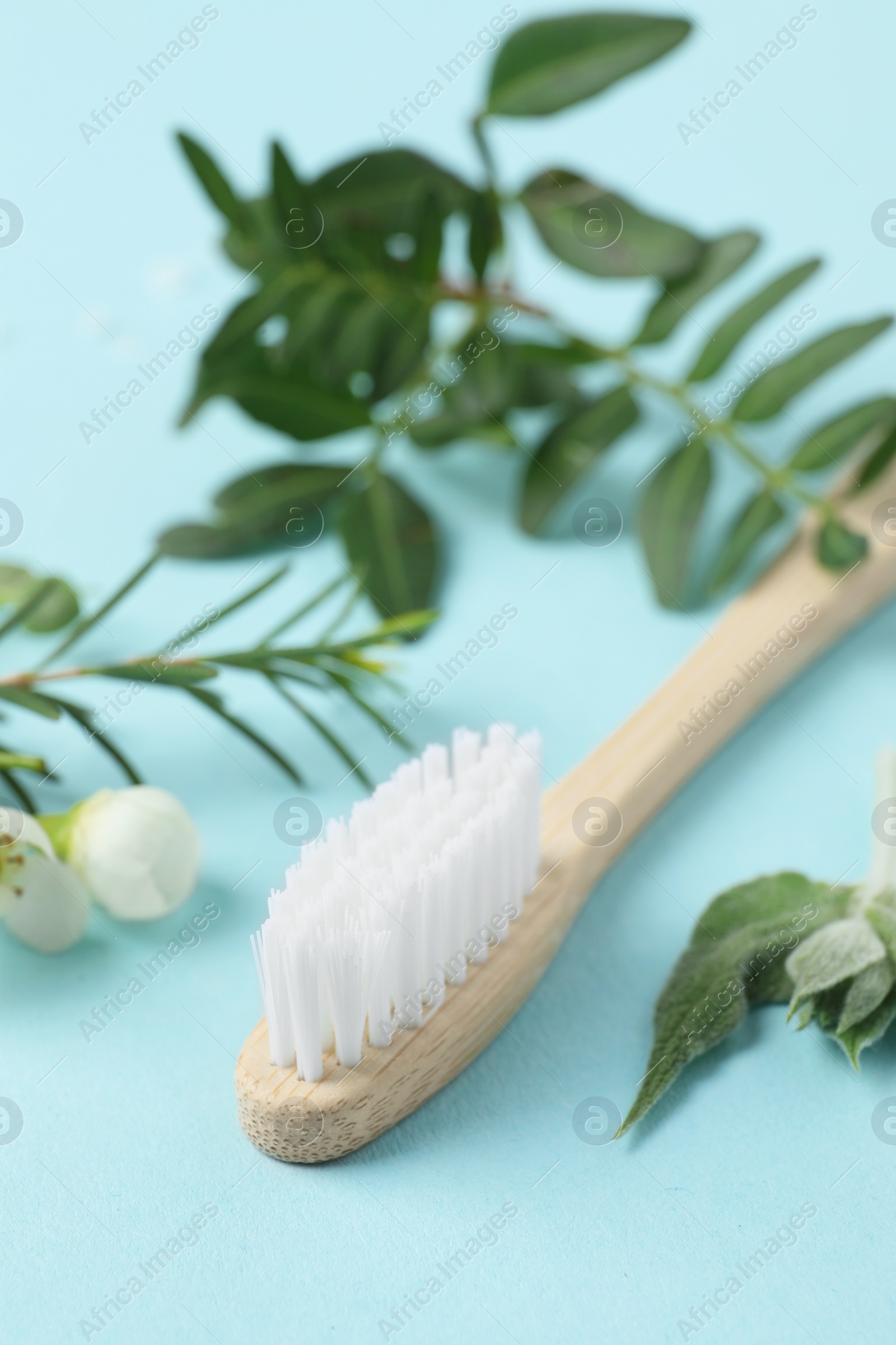 Photo of Bamboo toothbrush, beautiful flowers and herbs on light blue background, closeup