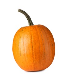 Photo of One fresh orange pumpkin isolated on white