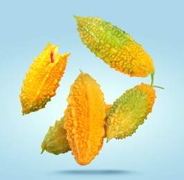 Image of Delicious ripe bitter melons falling on pale light blue background