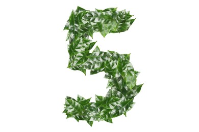 Image of Number 5 made of fresh green leaves on white background