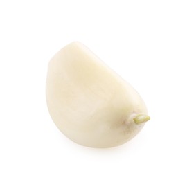 One peeled clove of garlic isolated on white