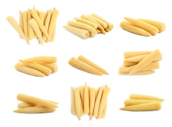 Image of Set with tasty baby corn cobs on white background 