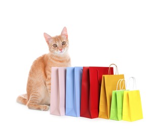 Image of Adorable yellow tabby cat and colorful paper shopping bags on white background