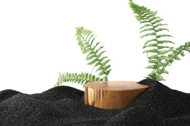 Photo of Presentation of product. Wooden podium and green branches on black sand against white background