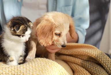 Owner with adorable little kitten and puppy, closeup