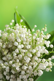 Beautiful lily of the valley flowers on blurred green background, closeup