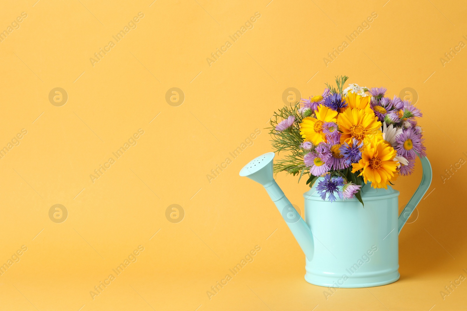 Photo of Light blue watering can with beautiful flowers on yellow background, space for text