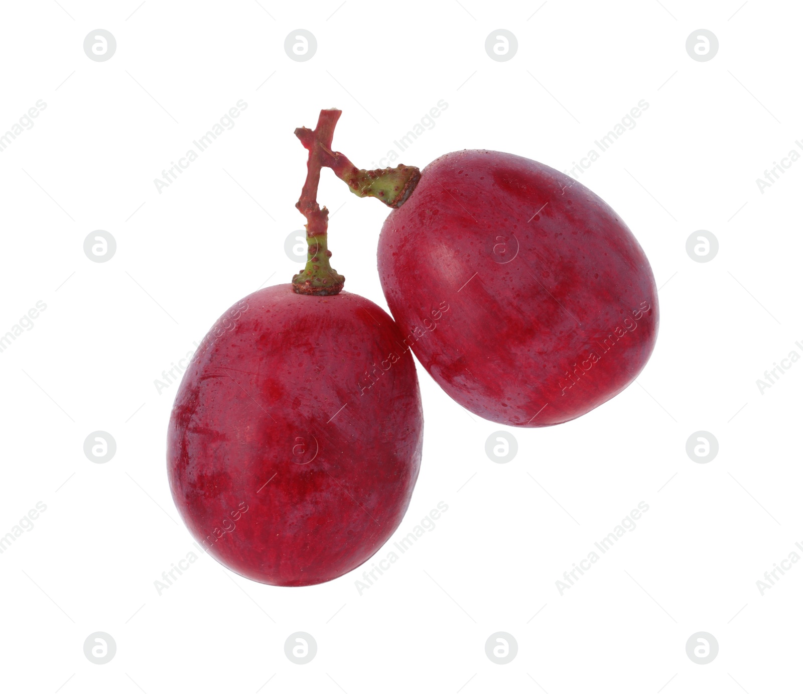 Photo of Two ripe red grapes isolated on white