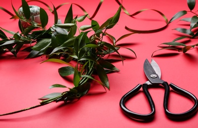 Unfinished mistletoe wreath and florist supplies on red background. Traditional Christmas decor