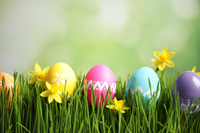Colorful Easter eggs and narcissus flowers in green grass against blurred background, space for text