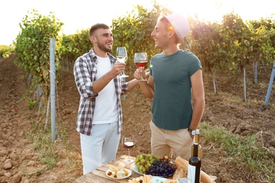 Friends tasting wine and having fun on vineyard picnic