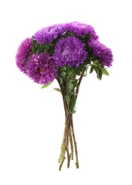 Photo of Bouquet of purple asters isolated on white.  Autumn flowers