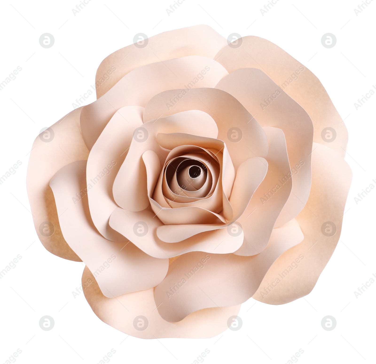 Photo of Beautiful beige flower made of paper isolated on white