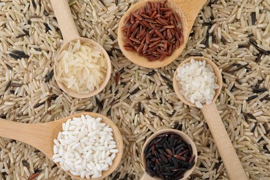 Photo of Spoons and different sorts of rice as background, top view