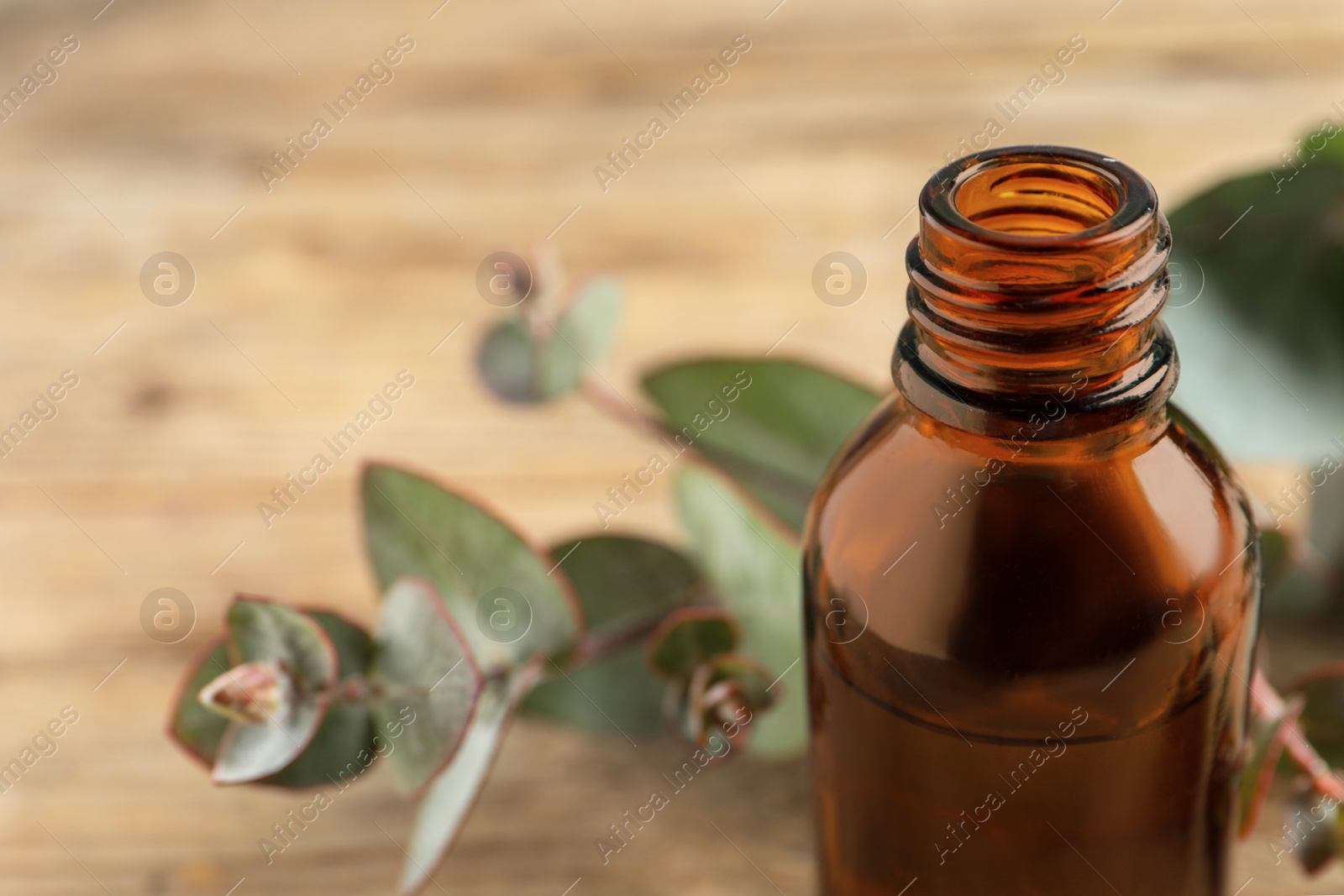 Photo of Bottle of eucalyptus essential oil and leaves on wooden table, closeup. Space for text