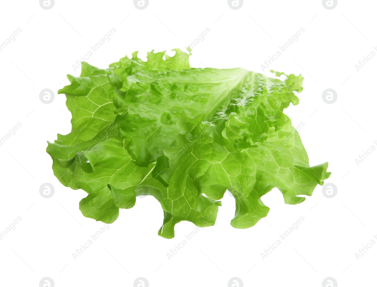 Photo of One green lettuce leaf isolated on white