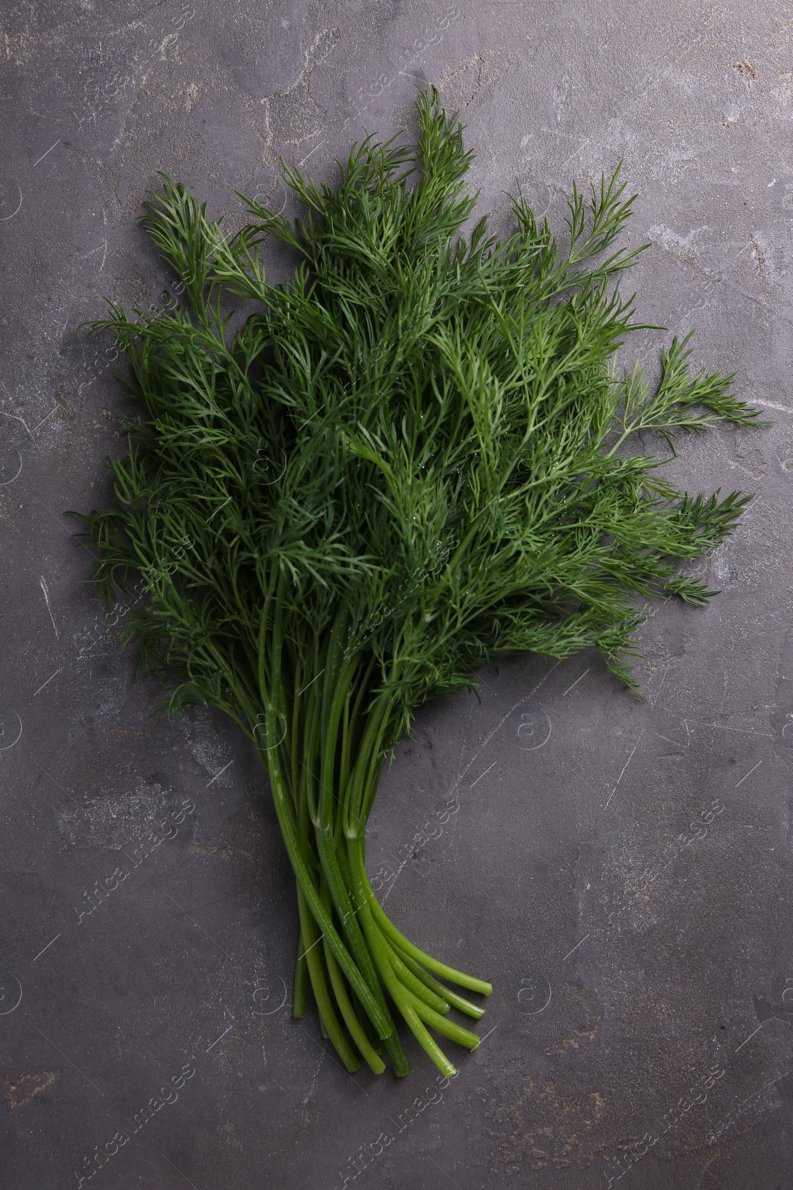 Photo of Sprigs of fresh dill on grey textured table, top view