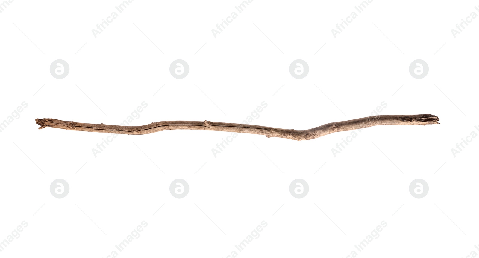 Photo of One old wooden stick isolated on white