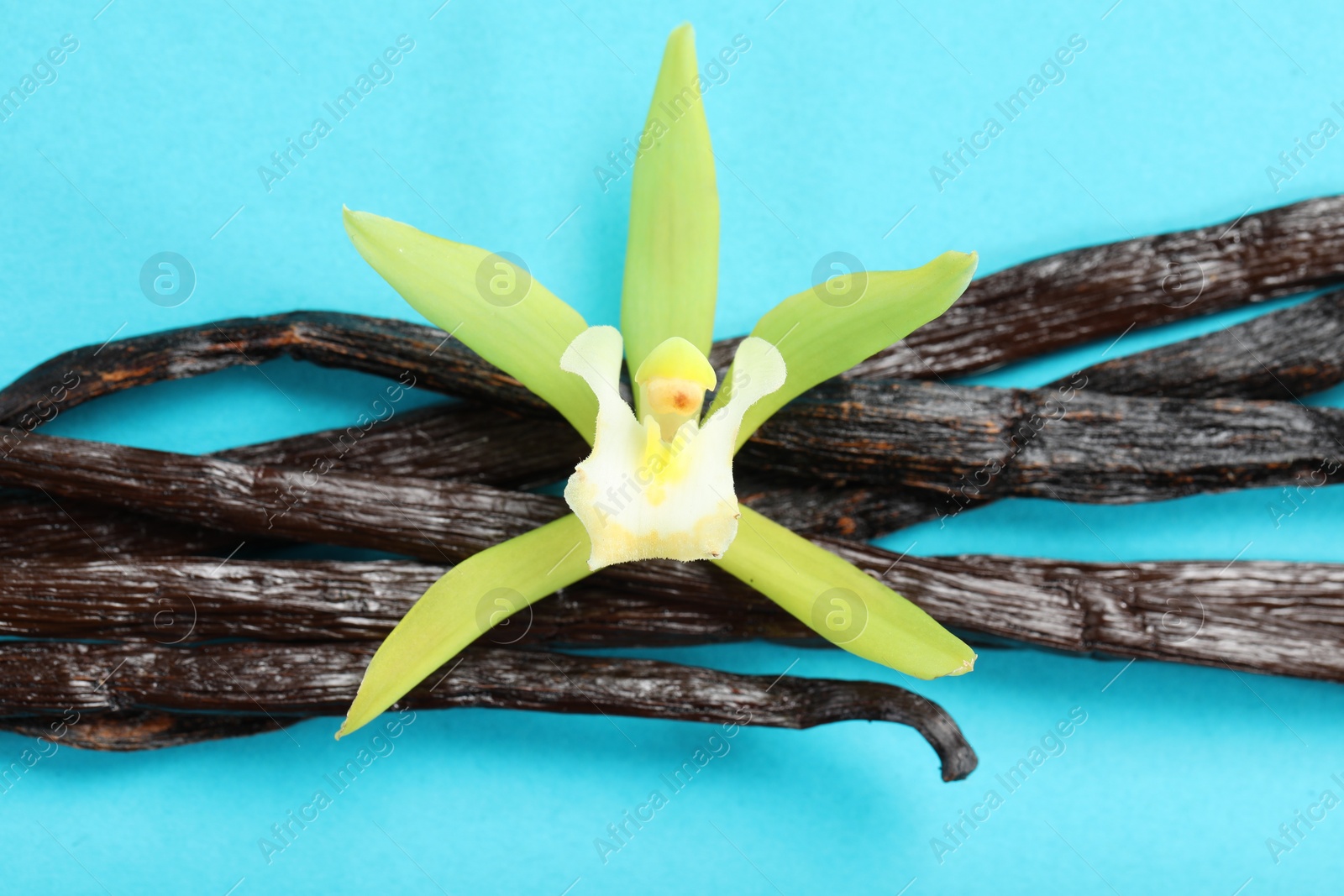 Photo of Vanilla pods and beautiful flower on light blue background, top view