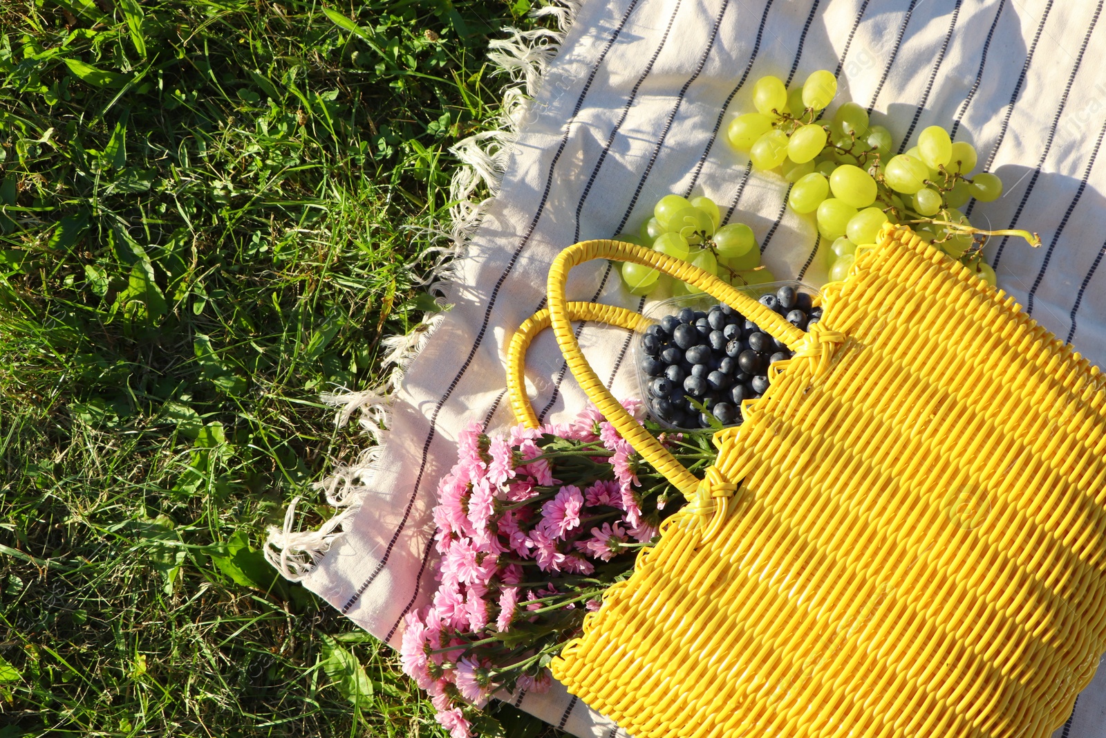 Photo of Yellow wicker bag with beautiful flowers, grapes and blueberries on picnic blanket outdoors, top view