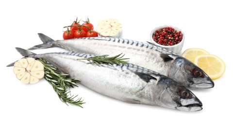 Photo of Raw mackerels, peppercorns, lemons, garlic, rosemary and tomatoes isolated on white
