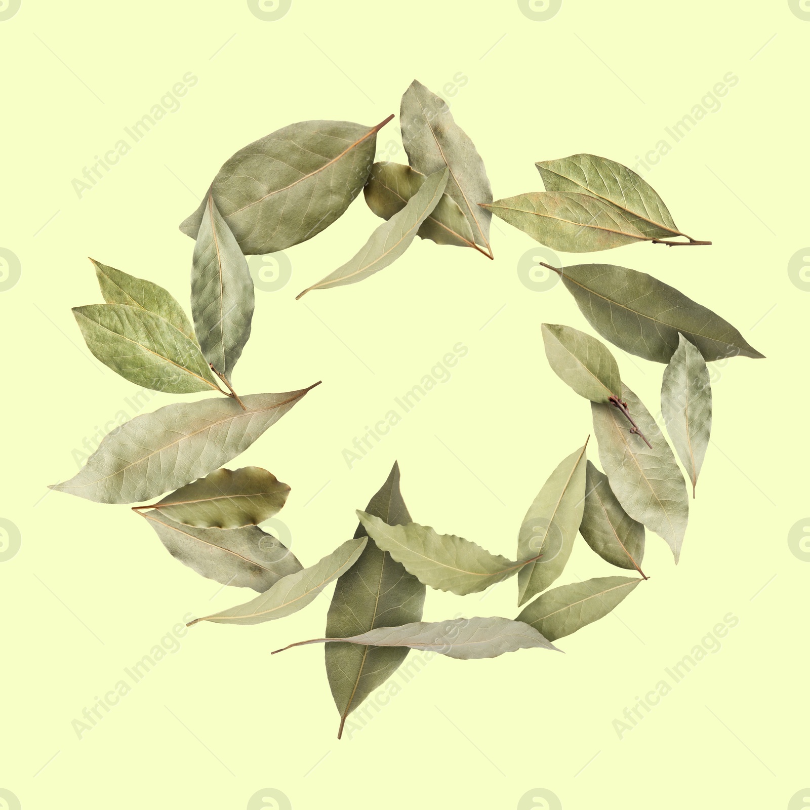 Image of Dry bay leaves falling on pale light yellow background