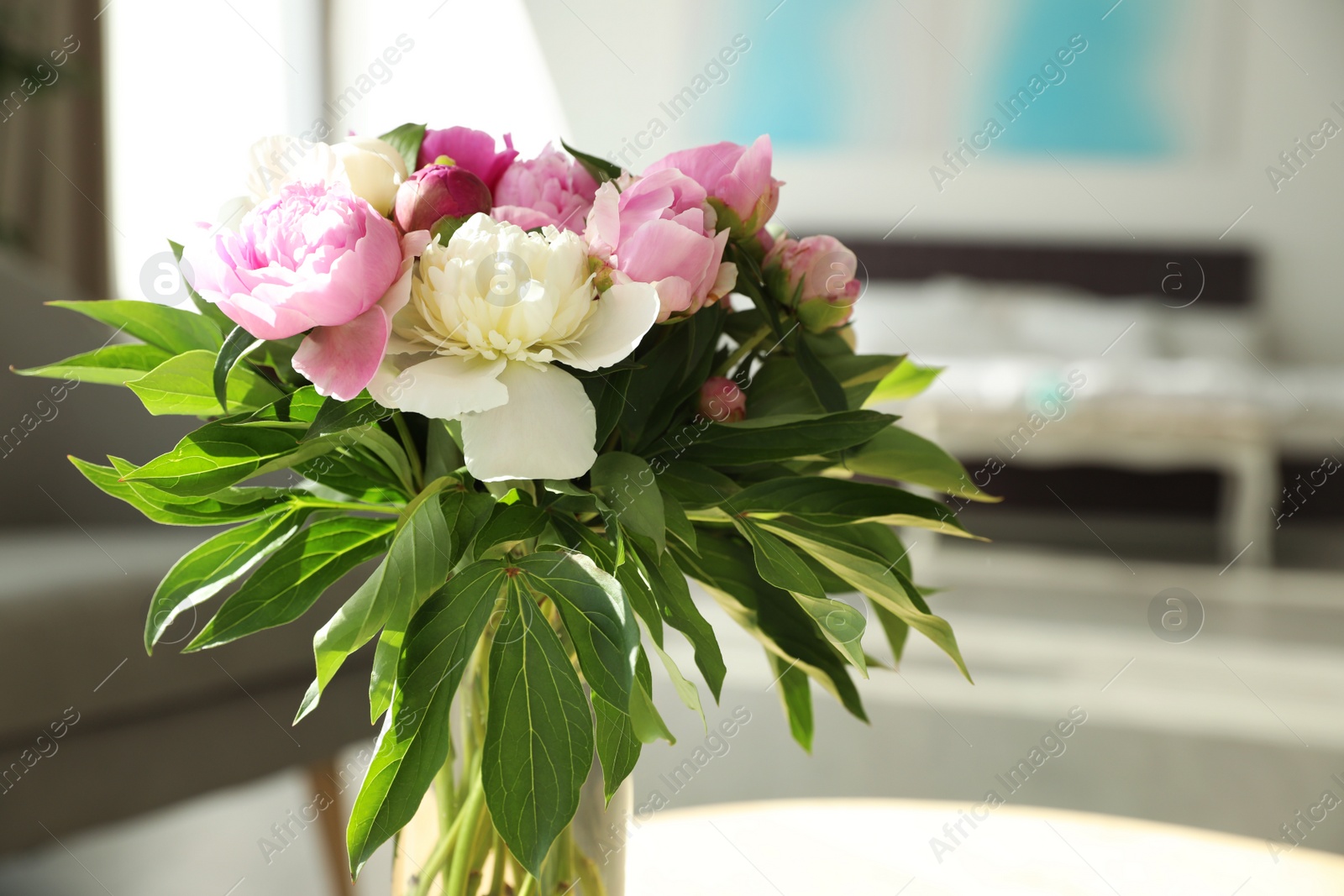 Photo of Vase with bouquet of beautiful peonies in room, space for text