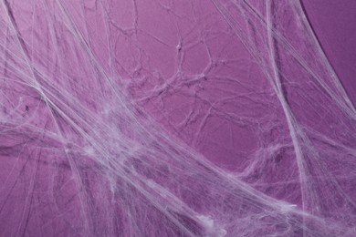Creepy white cobweb hanging on violet background
