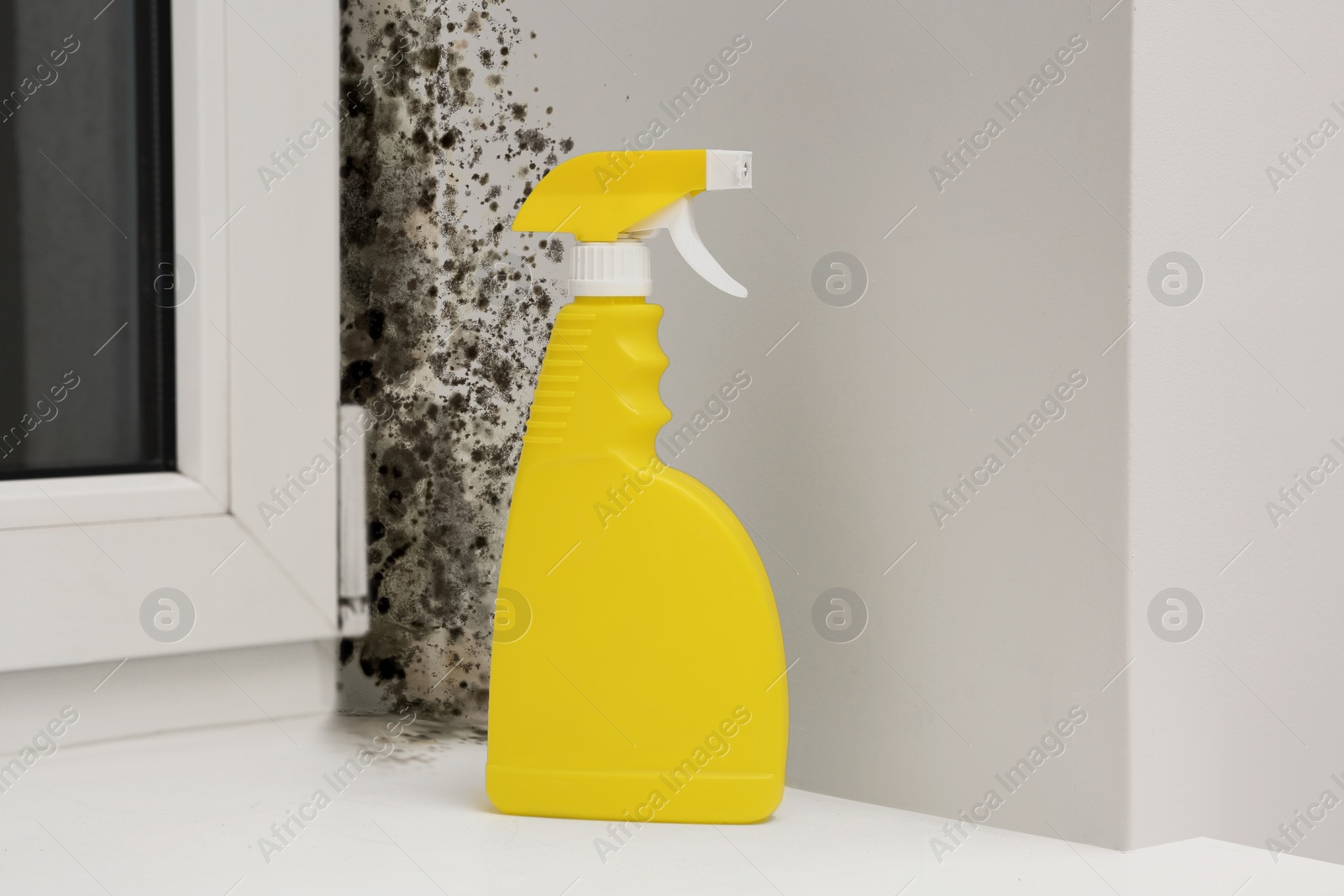 Image of Mold remover spray bottle near affected window slope in room